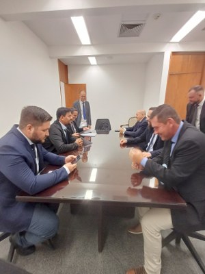 BRASILIA 2025 (2).jpg