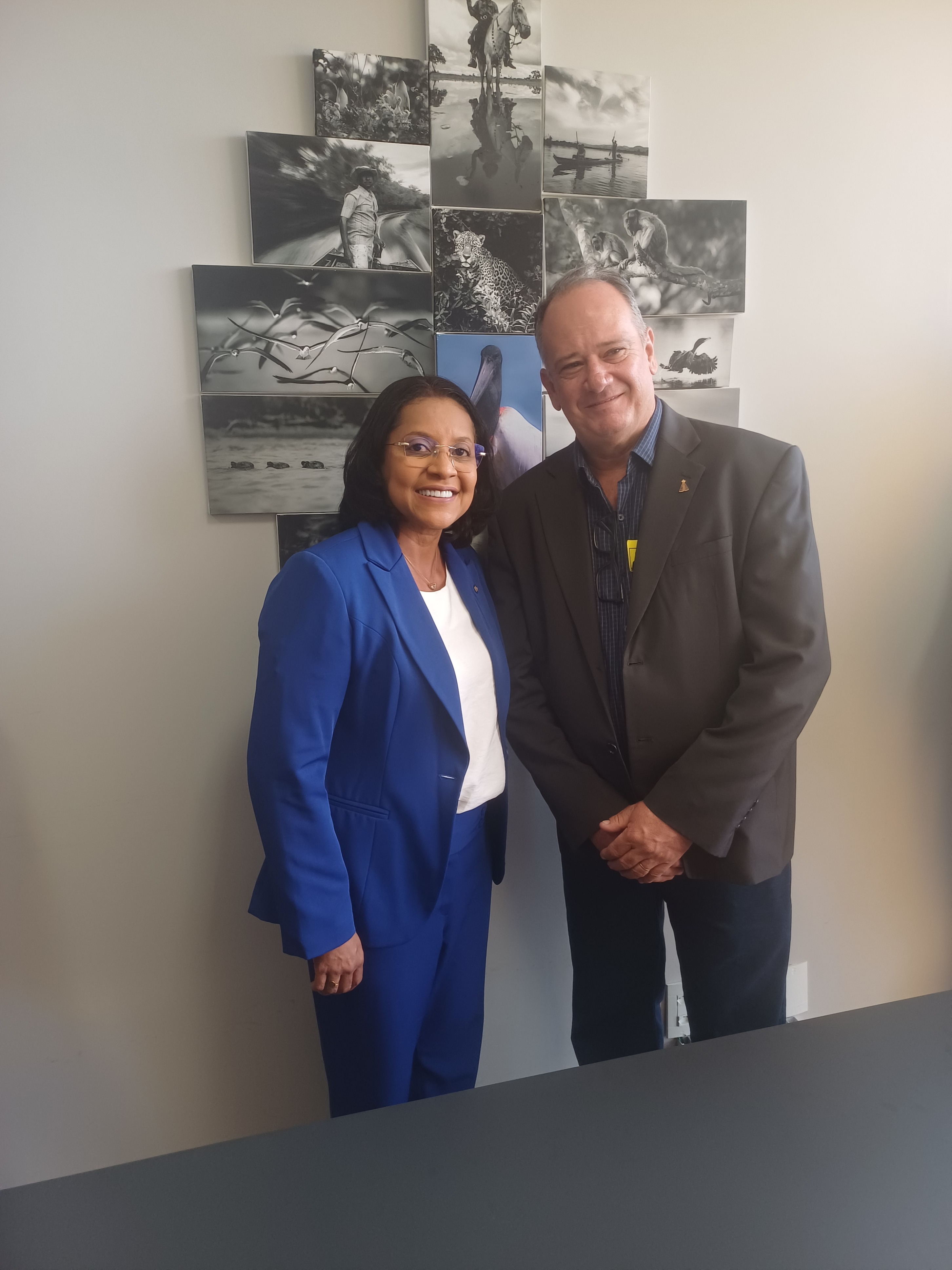 BRASÍLIA 2026 (5).jpg